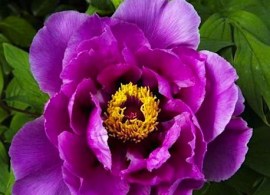unnamed (5)
